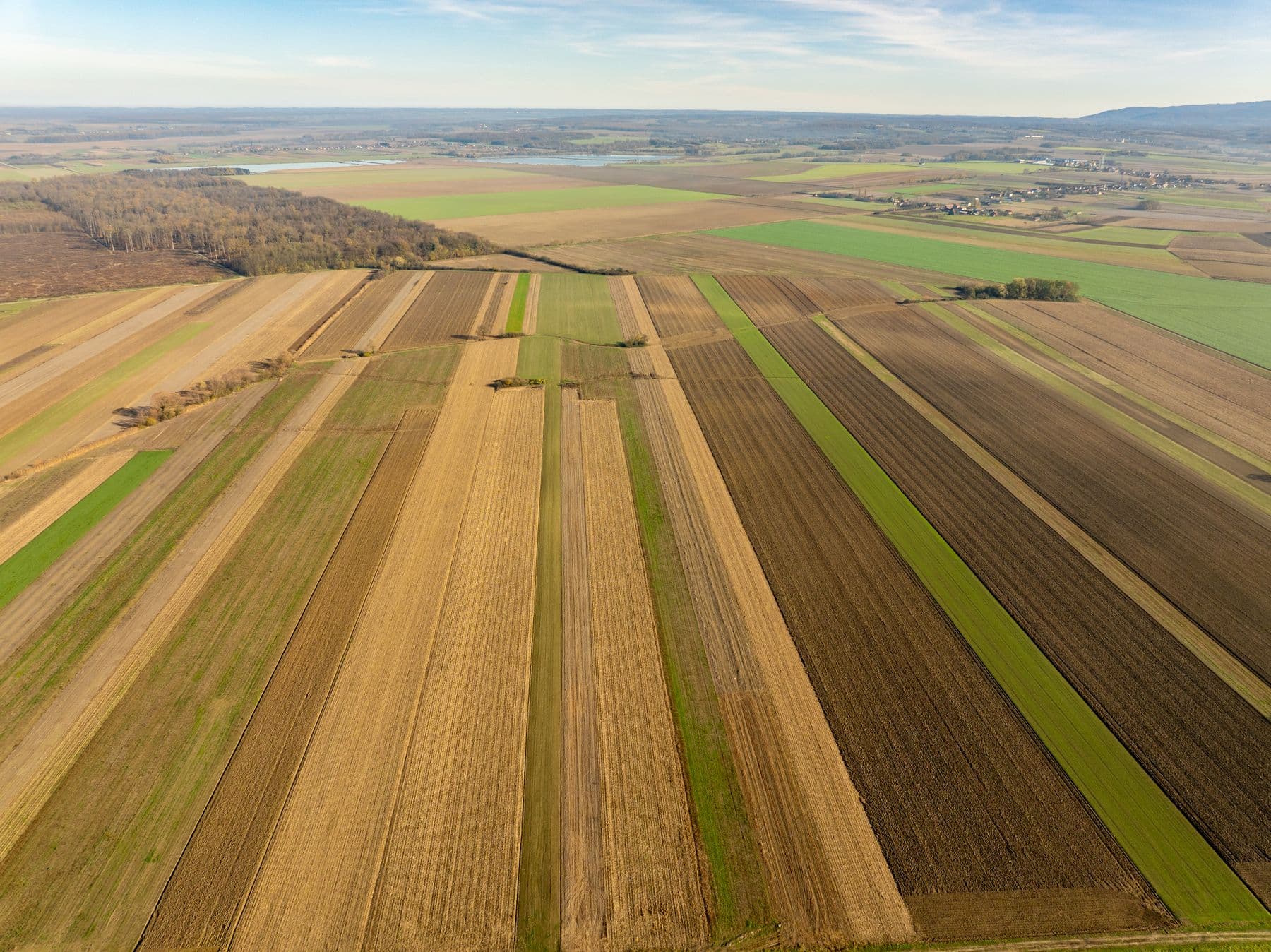 Farmland divided into long strips, seen from the air